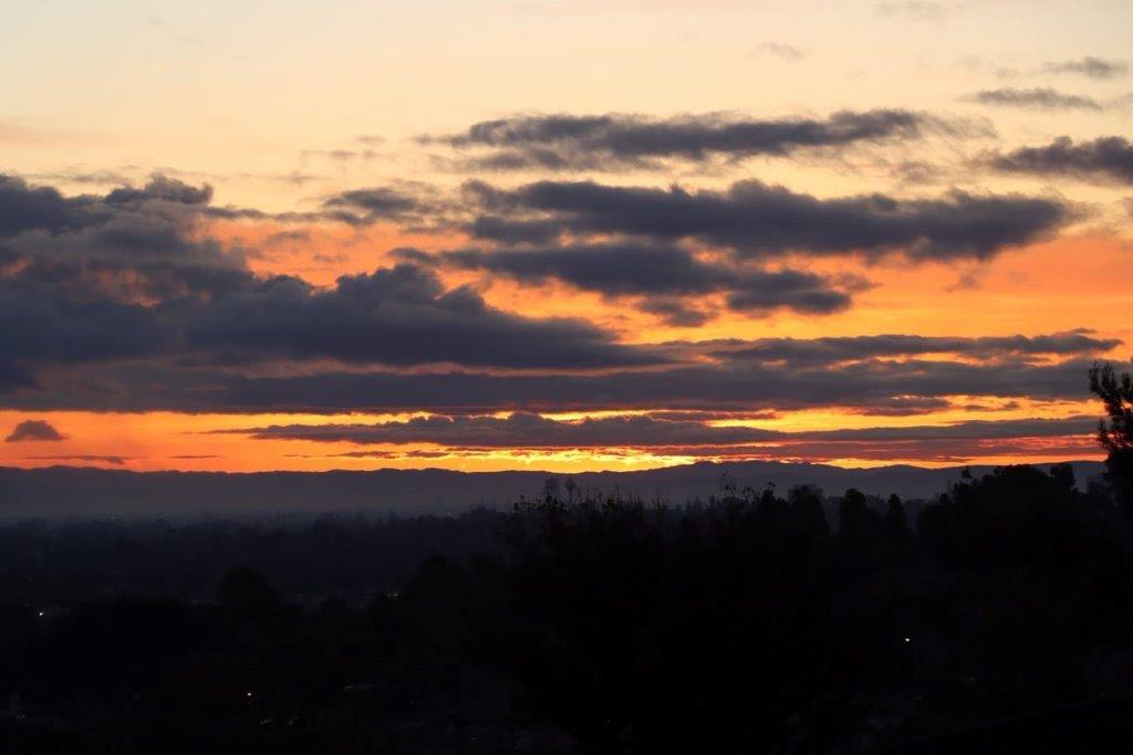 A sunset over a forest

Description automatically generated