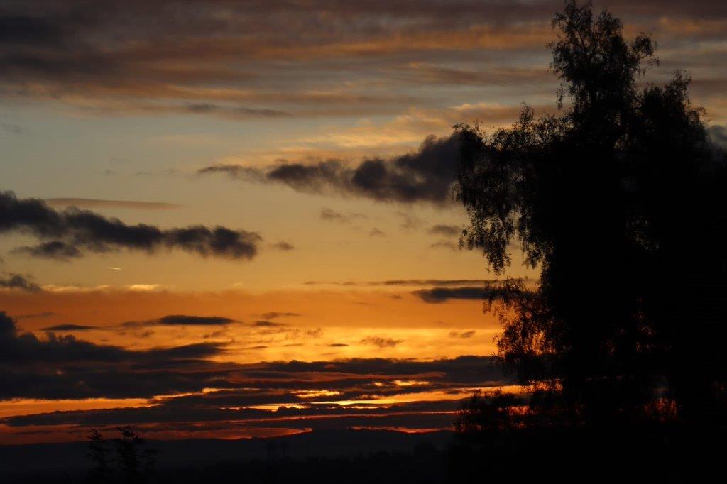 A sunset with clouds and a tree

Description automatically generated