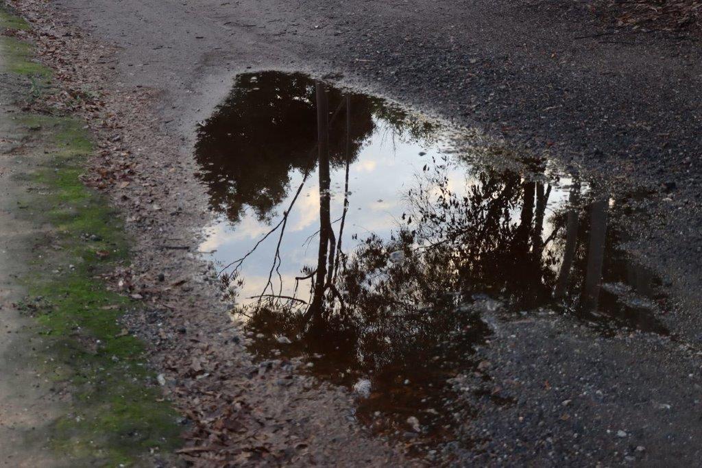 A puddle of water on the road

Description automatically generated