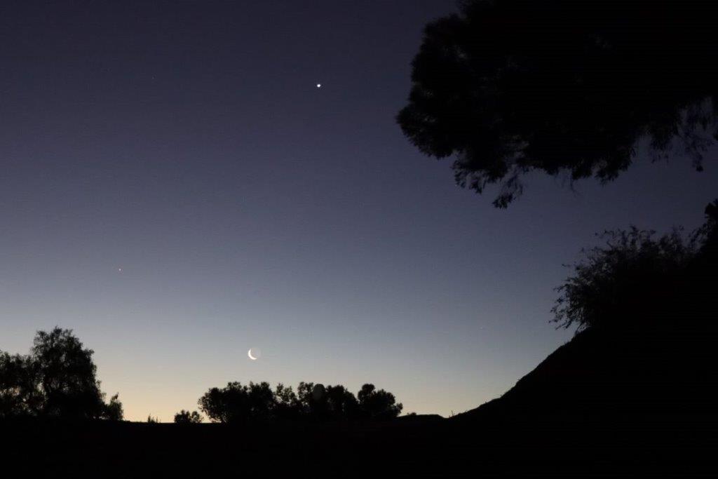 A silhouette of a hill with trees and a moon in the sky

Description automatically generated