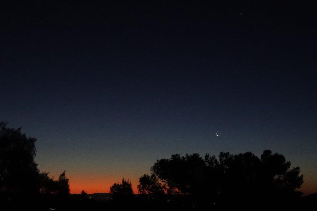 A silhouette of trees at night

Description automatically generated