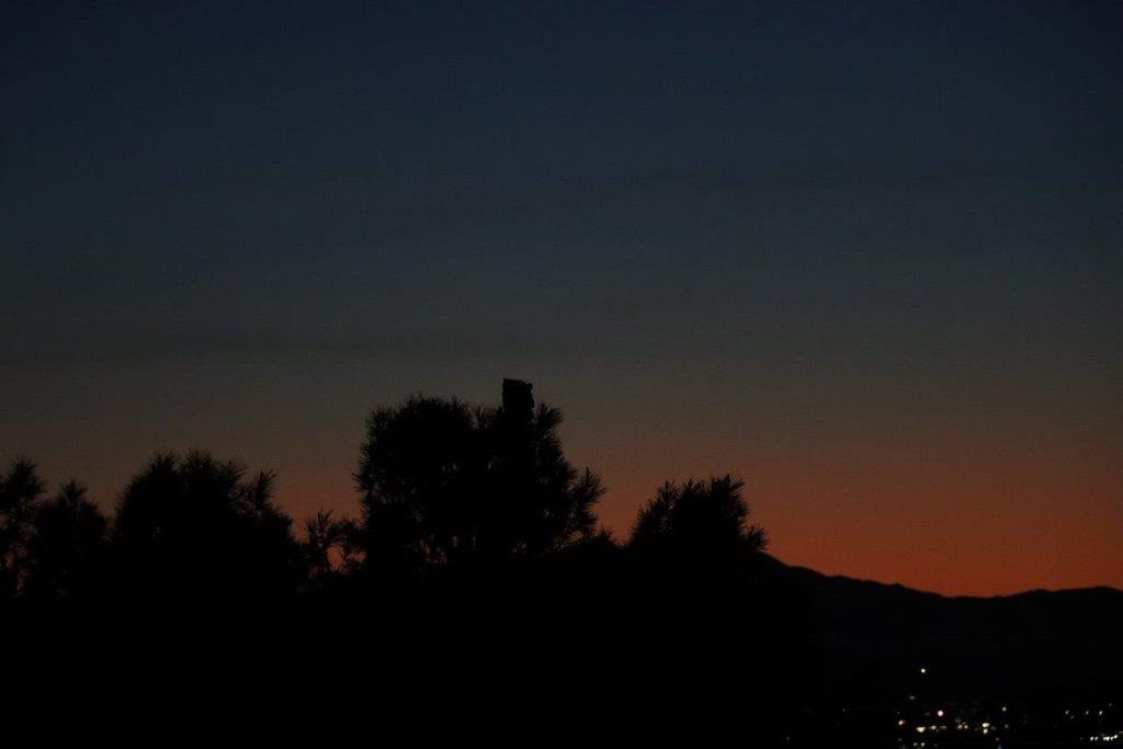 A silhouette of trees at night

Description automatically generated