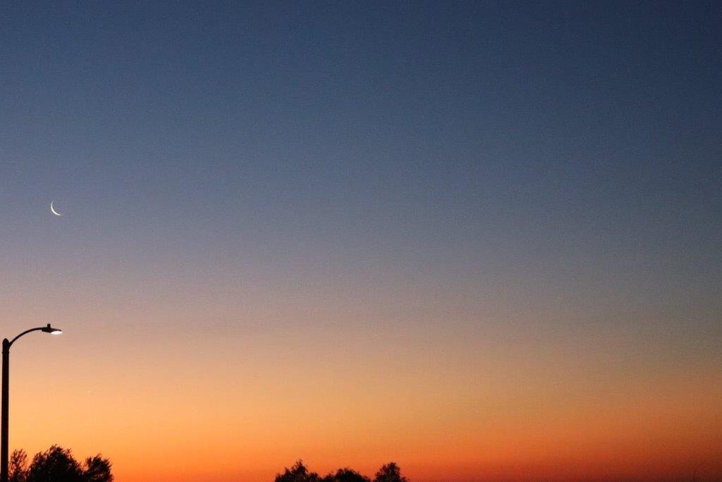 A sunset with a blue sky and trees

Description automatically generated