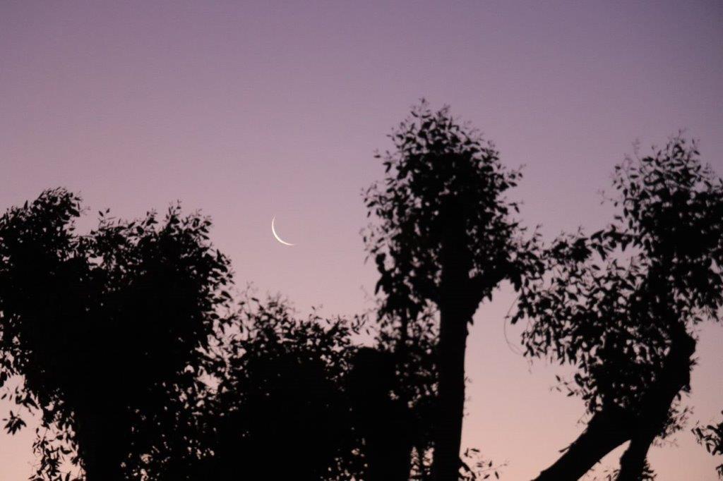 A crescent moon in the sky

Description automatically generated