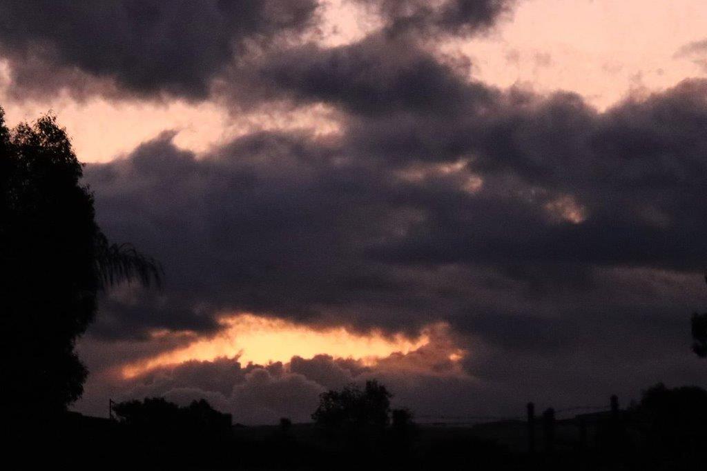 A sunset over a palm tree

Description automatically generated with medium confidence