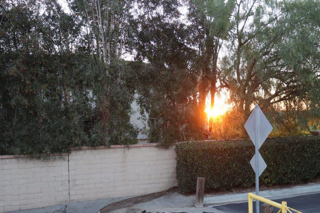 A sunset behind a wall

Description automatically generated