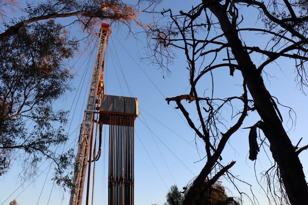 A crane with a tree in the background

Description automatically generated with medium confidence
