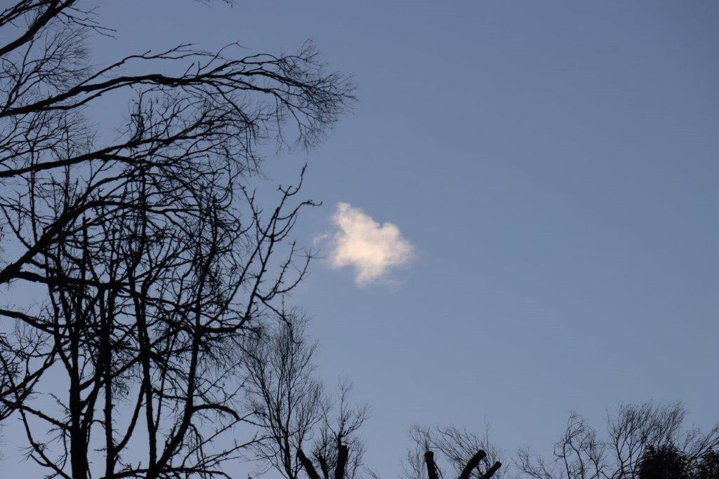 A cloud in the sky

Description automatically generated