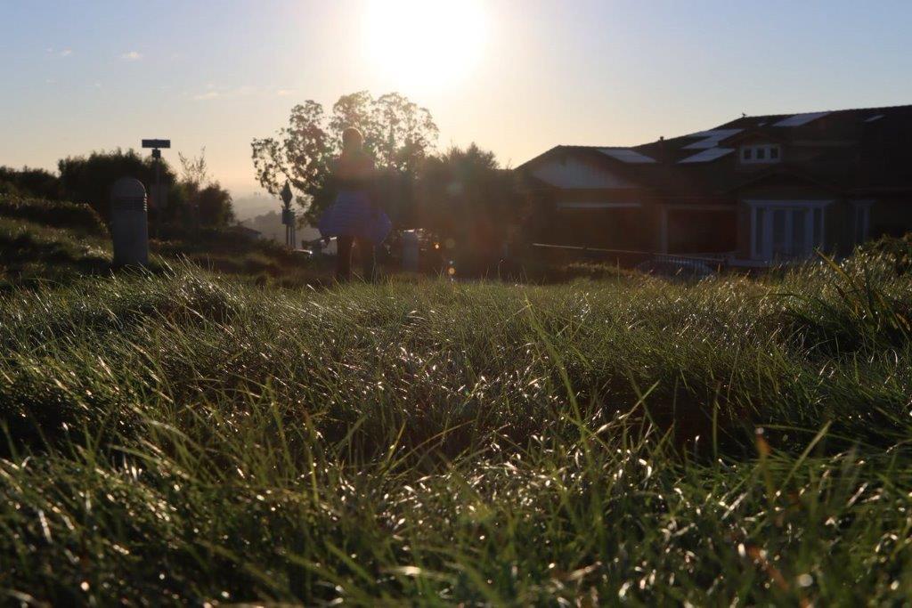 A grass field with a house in the background

Description automatically generated