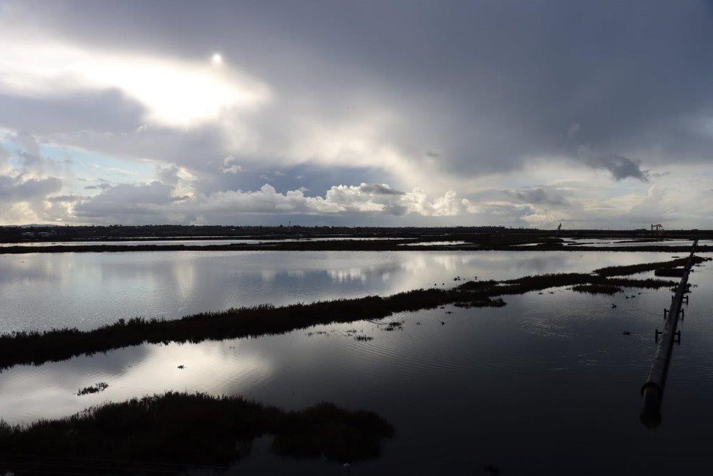 A low angle view of a lake

Description automatically generated
