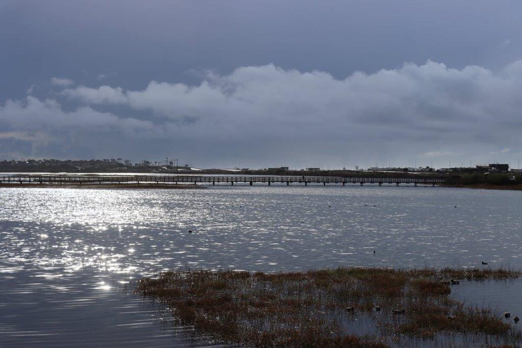 A bridge over a body of water

Description automatically generated