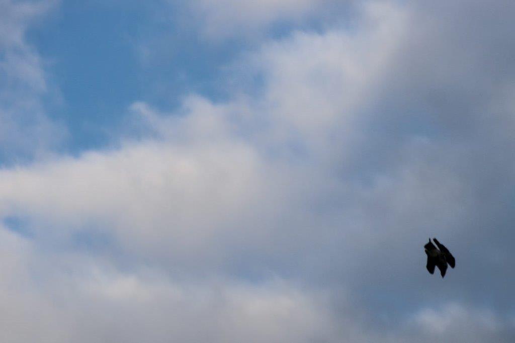 A person standing in the sky

Description automatically generated with medium confidence