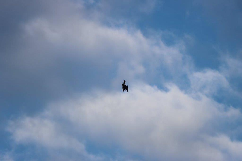 A jet flying in the sky

Description automatically generated