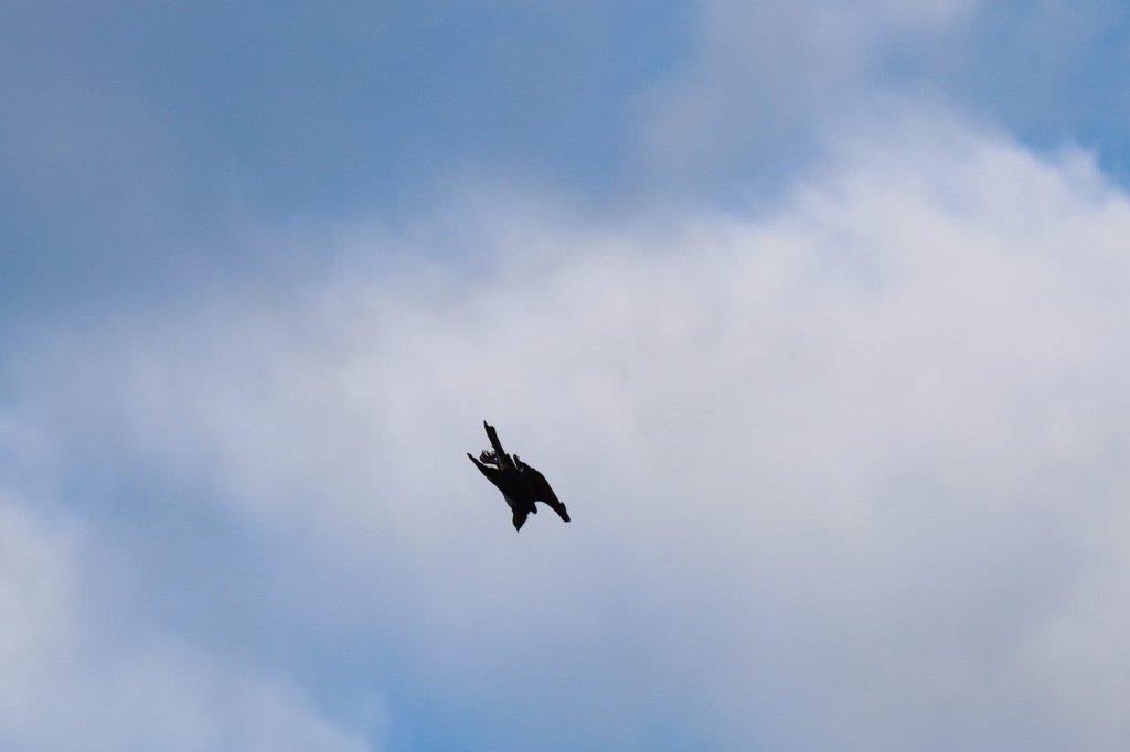 A jet flying in the sky

Description automatically generated