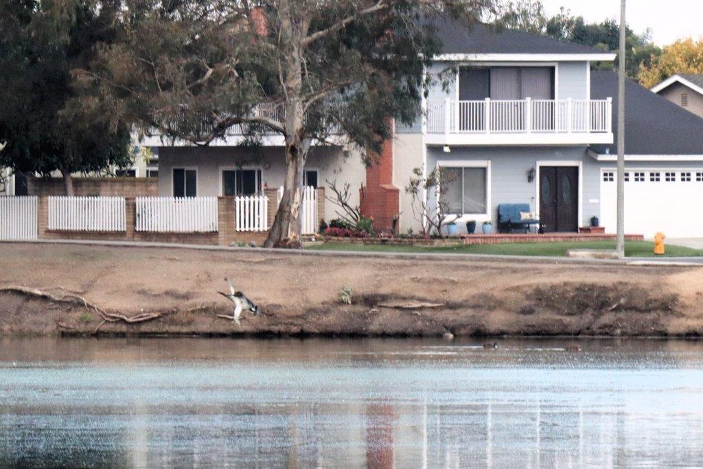 A house next to a body of water

Description automatically generated