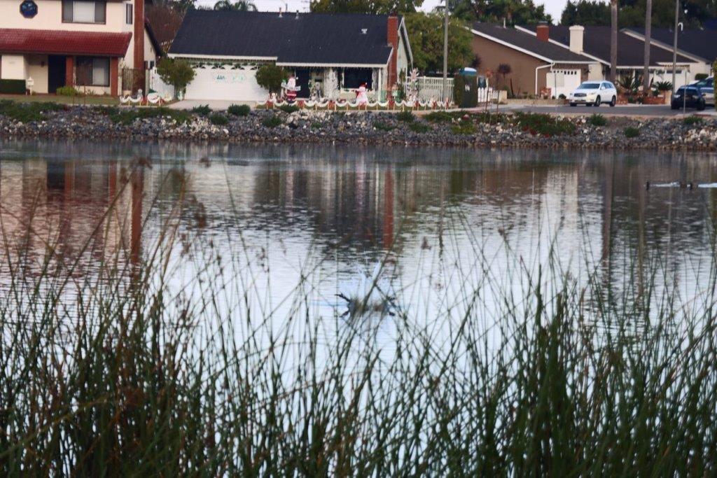 A lake with houses and grass

Description automatically generated with medium confidence