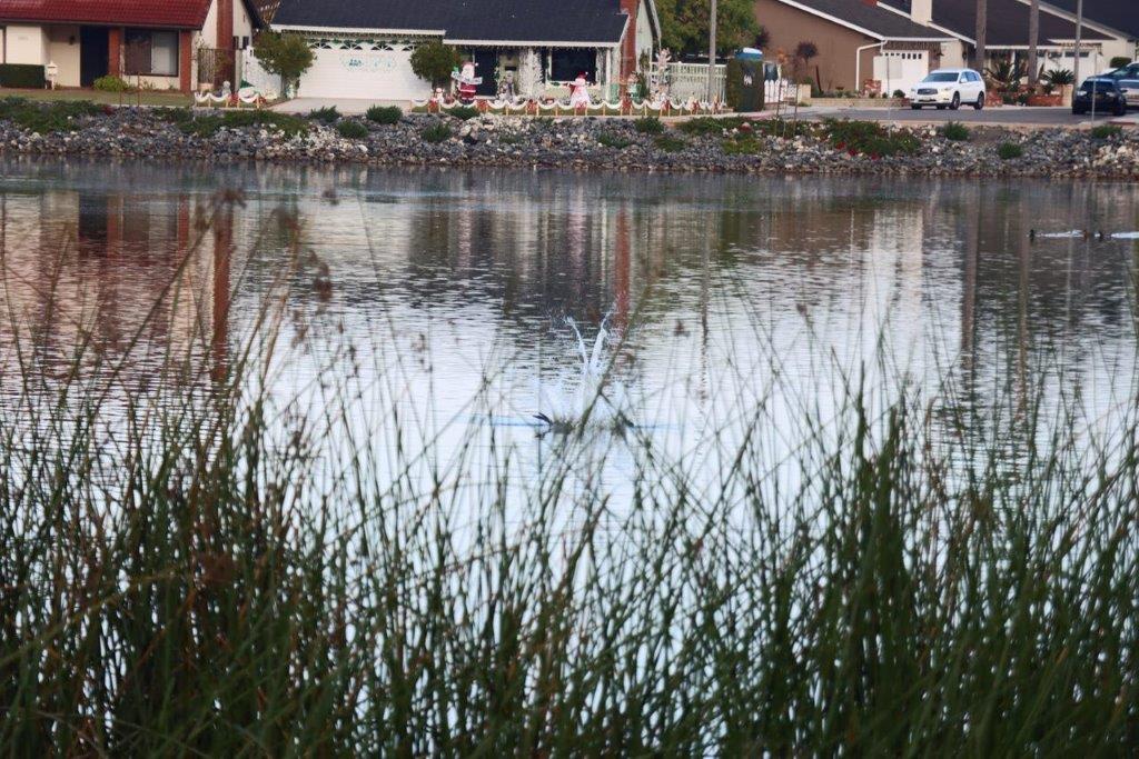 Long shot of a lake

Description automatically generated