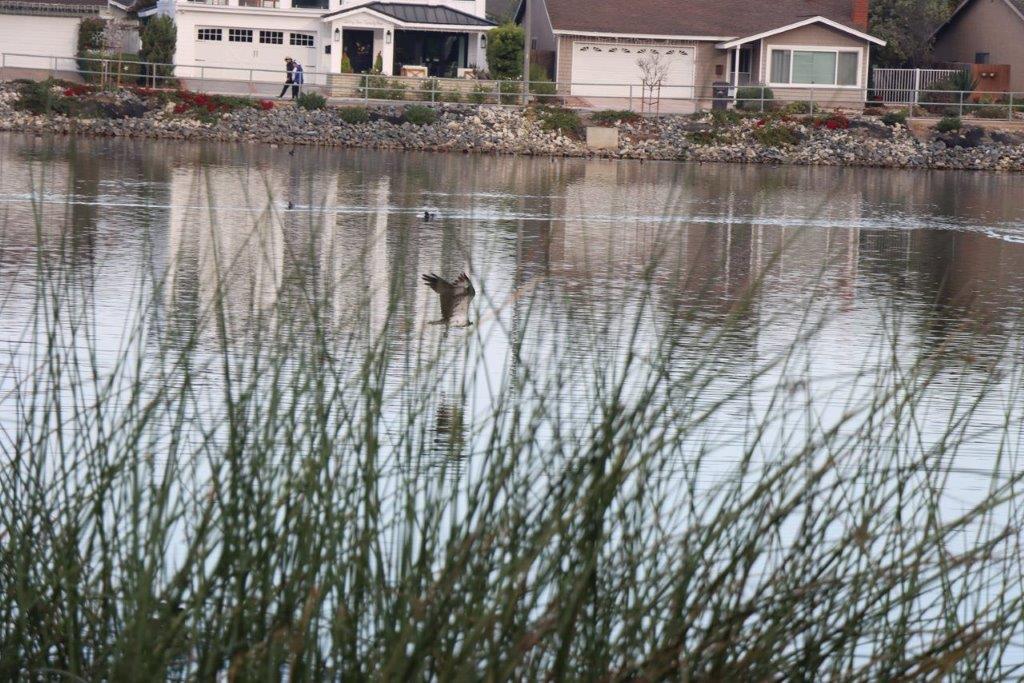 A house in the water

Description automatically generated