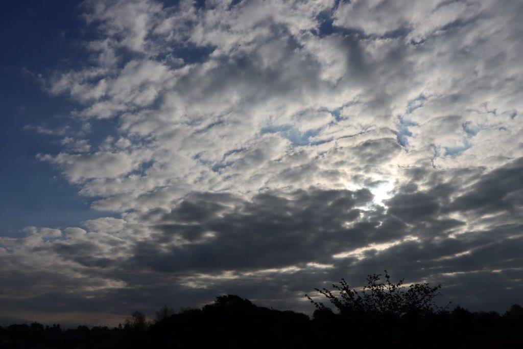A cloudy sky with trees and clouds

Description automatically generated with medium confidence