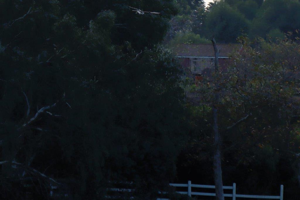 A white fence and trees

Description automatically generated