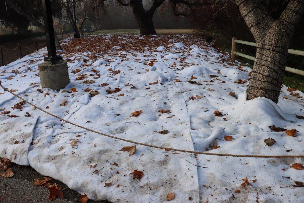 A snow covered ground with a rope

Description automatically generated