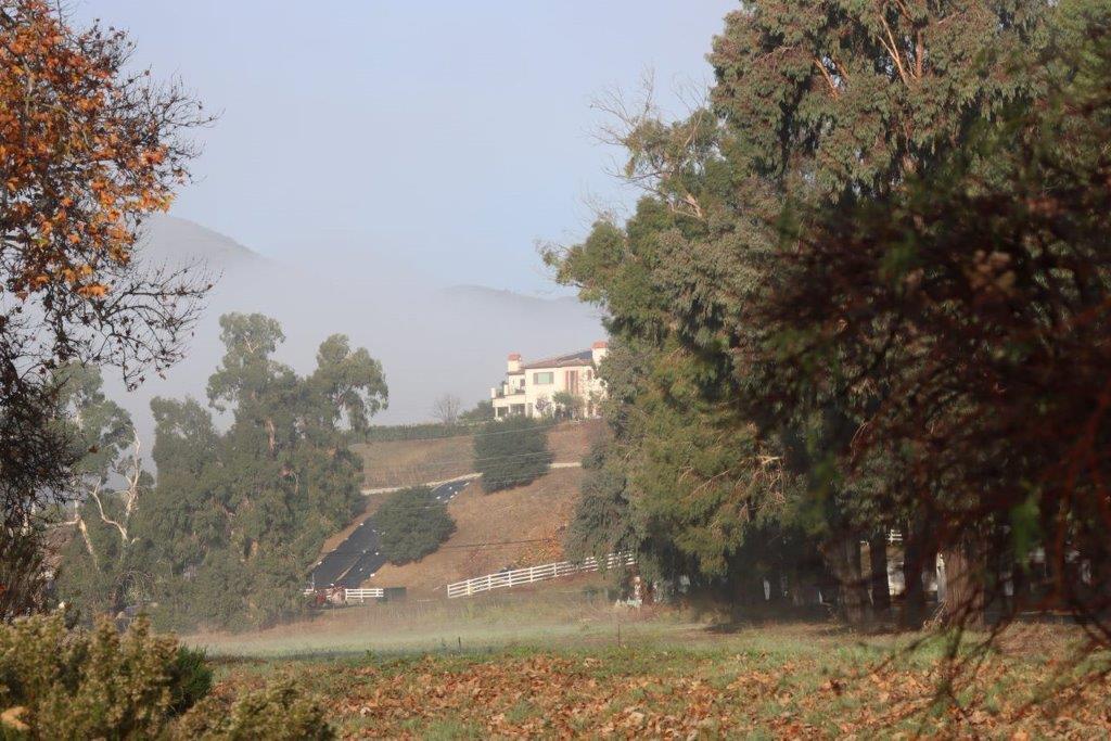A house on a hill

Description automatically generated