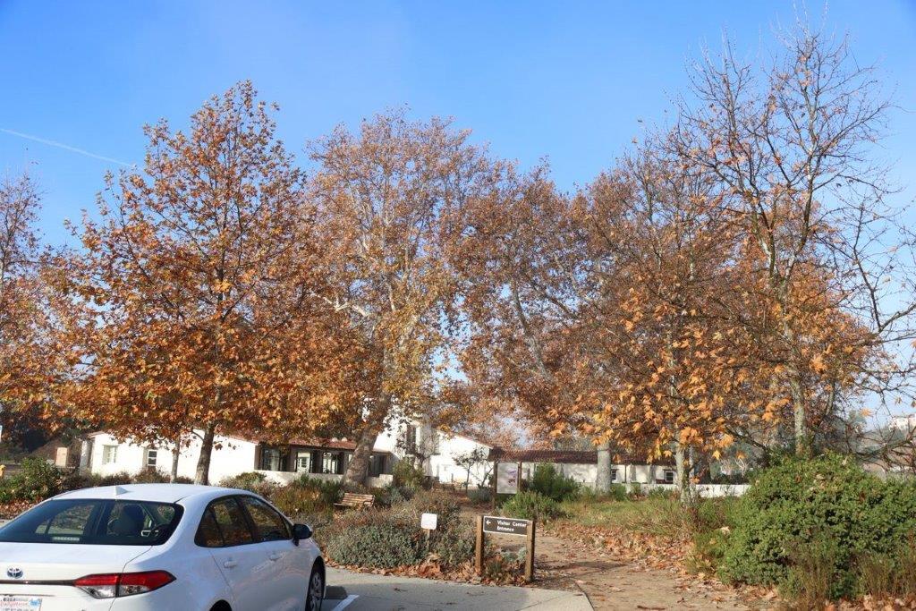 A car parked in front of a house

Description automatically generated