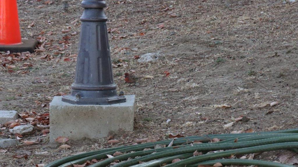 A close-up of a pole

Description automatically generated