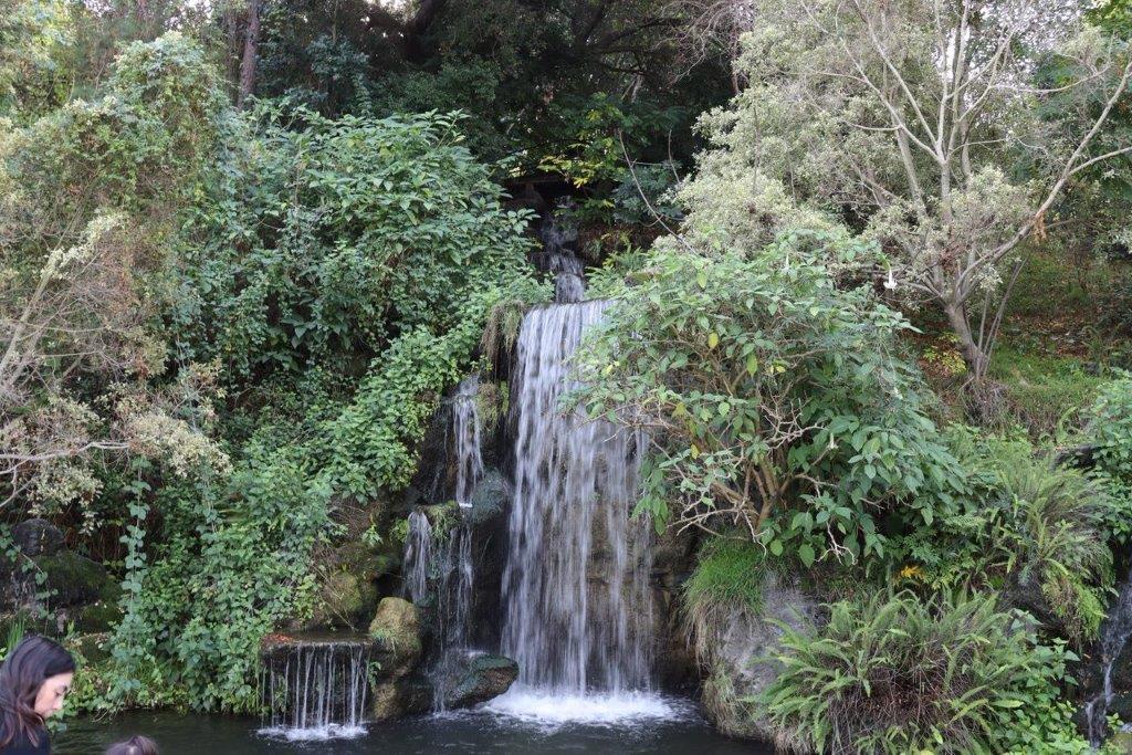 A waterfall surrounded by trees

Description automatically generated