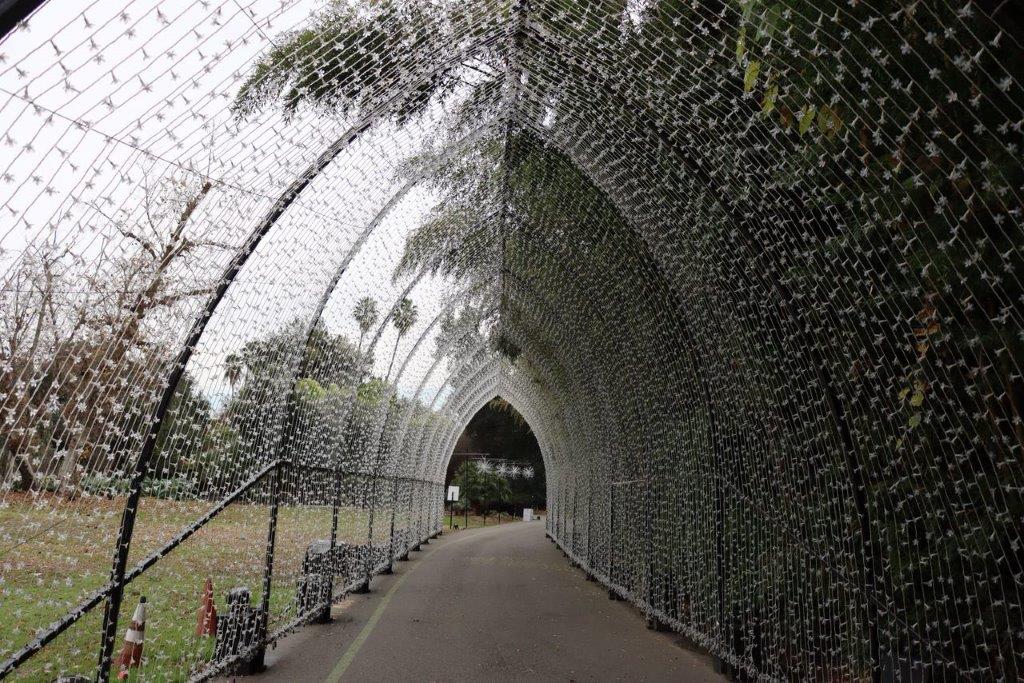 A tunnel with lights on it

Description automatically generated with medium confidence
