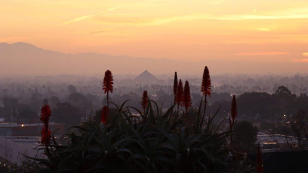 A view of a city from a hill

Description automatically generated