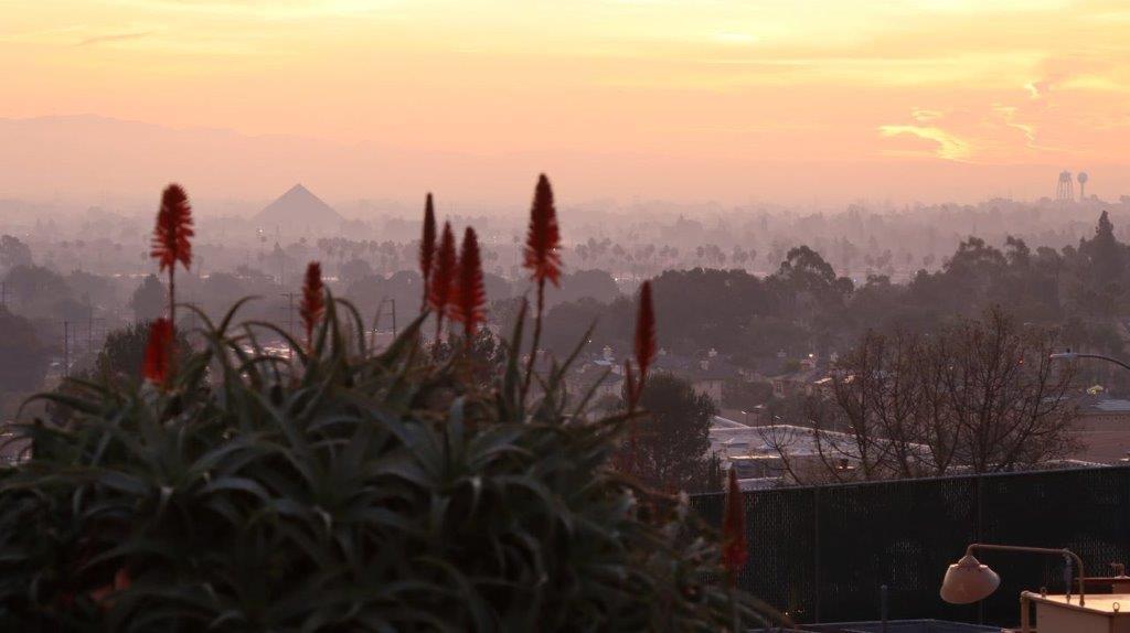 A view of a city from a rooftop

Description automatically generated