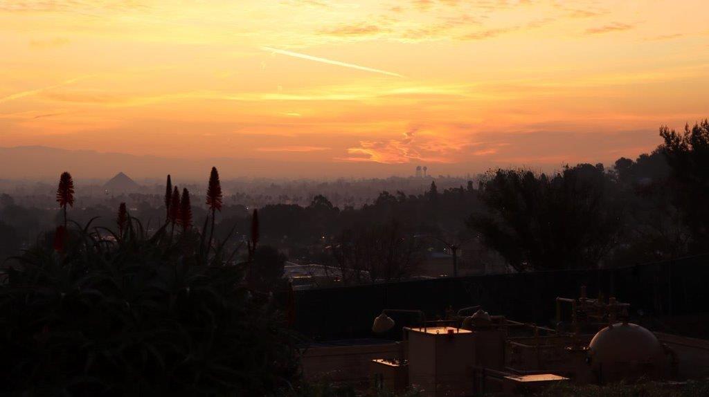 A sunset over a city

Description automatically generated