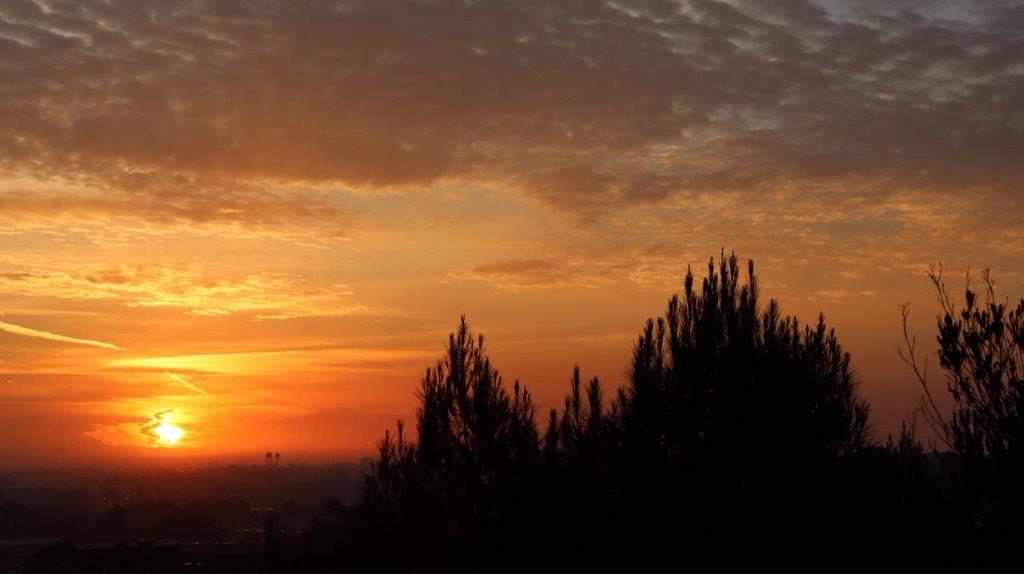 A sunset over a city

Description automatically generated