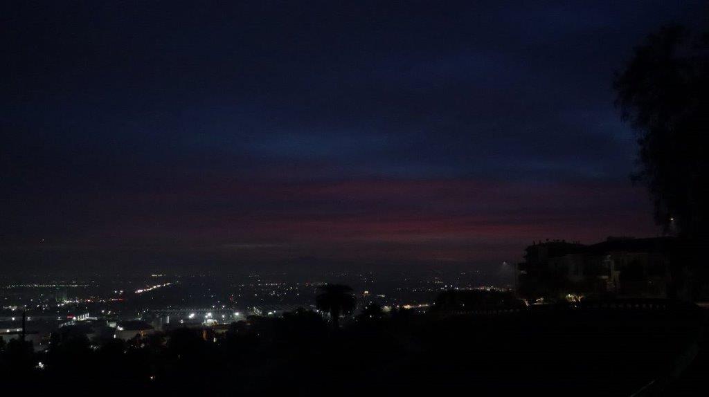 A city at night with trees

Description automatically generated