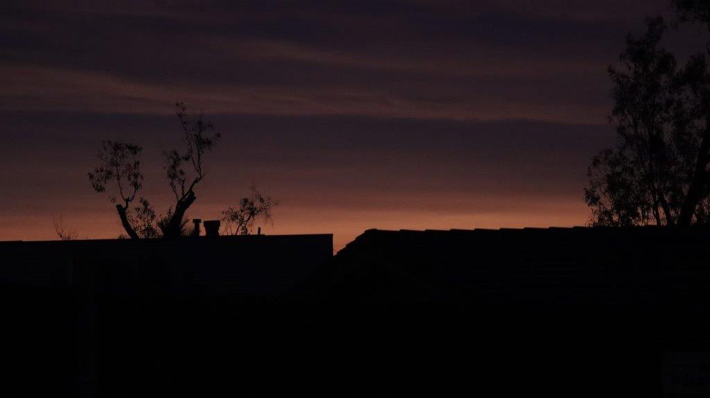 A silhouette of a roof and a tree

Description automatically generated