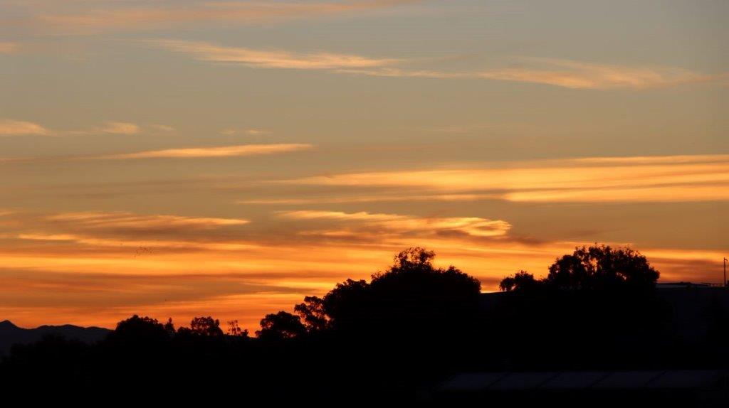 A sunset with clouds and trees

Description automatically generated