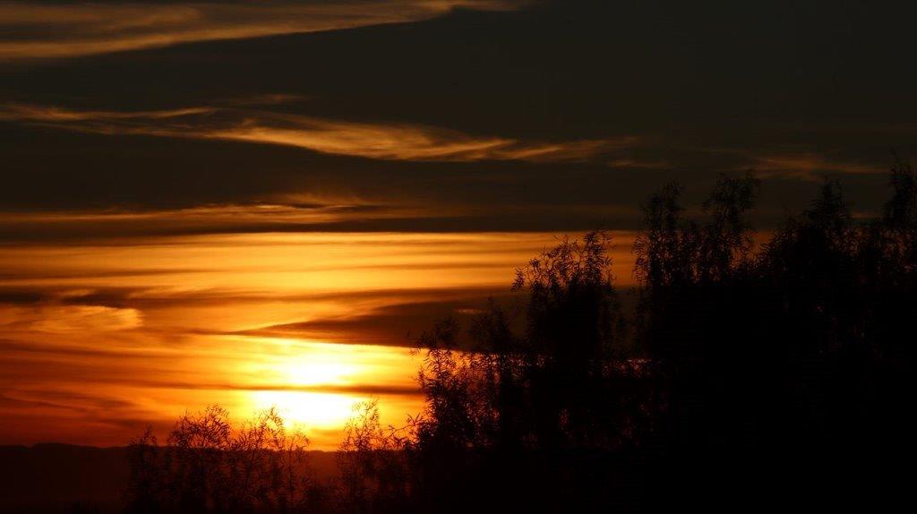 A sunset over a lake

Description automatically generated with medium confidence