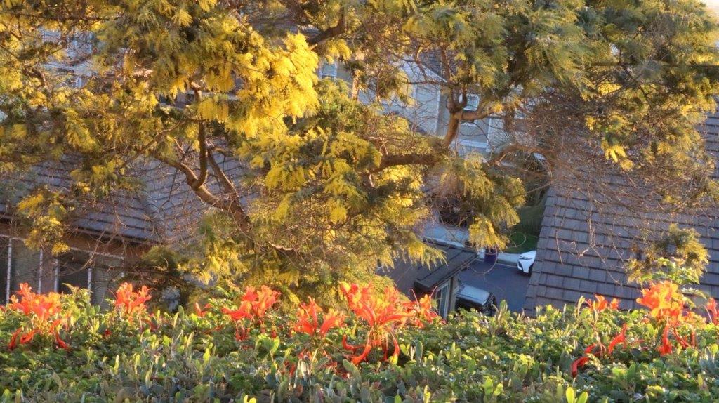 A view of a house from the top of a hill

Description automatically generated