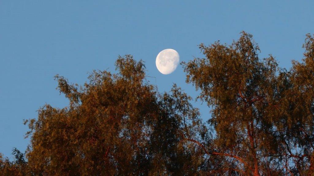 A moon in the sky

Description automatically generated