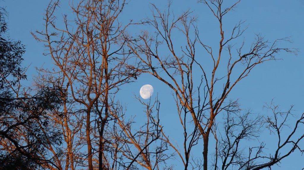 A moon in the sky

Description automatically generated