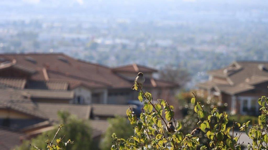 A bird on a branch

Description automatically generated