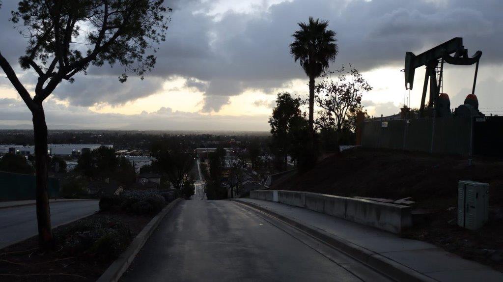 A road with palm trees and a cloudy sky

Description automatically generated