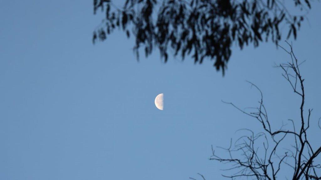 A moon in the sky

Description automatically generated