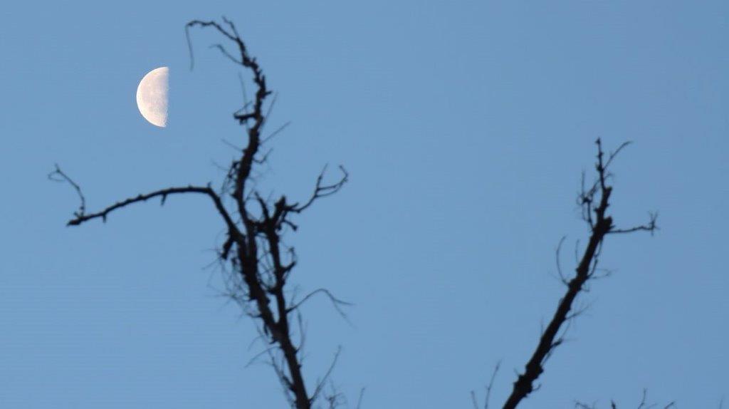 A white square in the sky

Description automatically generated