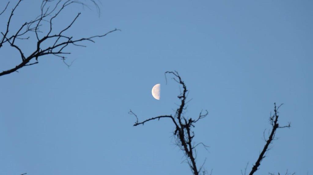 A moon in the sky

Description automatically generated