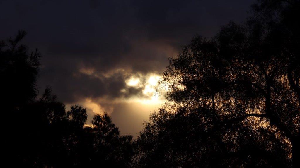 Sun shining through the clouds

Description automatically generated