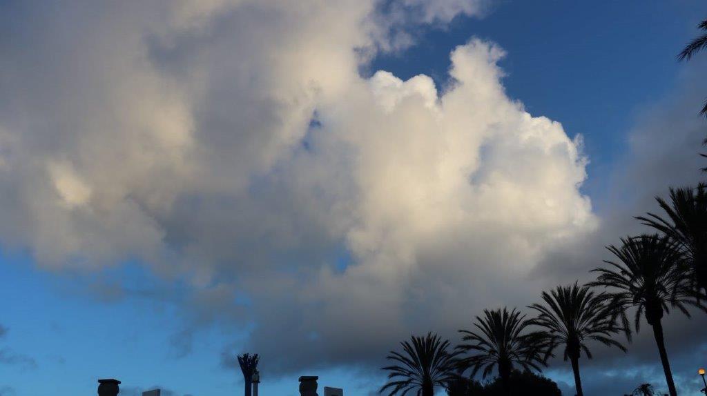 Clouds in the sky

Description automatically generated