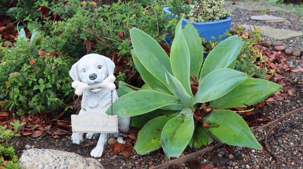 A dog statue with a bone in its mouth next to a plant

Description automatically generated