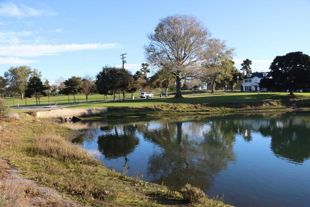 A pond with a house in the background

Description automatically generated